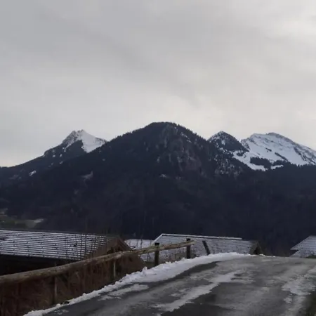 A 300m Des Pistes * Saint-Jean-dʼAulps